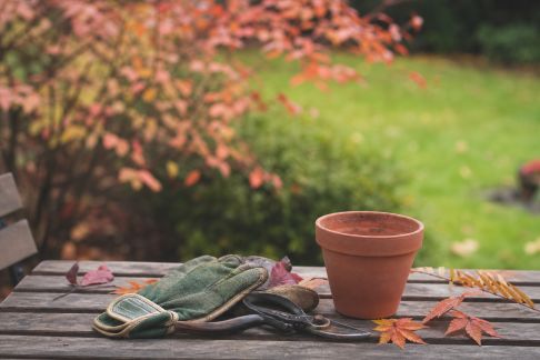 Le retour des salons d’automne : quelles tendances pour préparer l’hiver au jardin ?