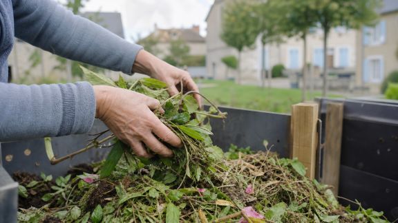 Réduction des déchets verts : initiatives locales et impacts sur les communes