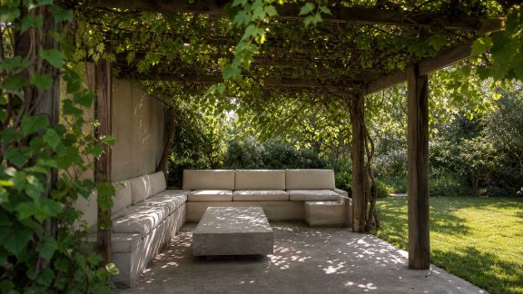 Mettre en place un système d'ombrage naturel au jardin