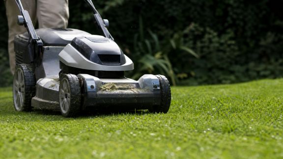 Comparatif des tontes mulching : efficacité, praticité et avantages pour votre pelouse
