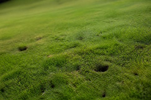 Améliorer le drainage de votre pelouse sans grands travaux