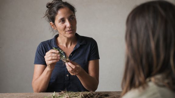 Échange avec un formateur en techniques de semis écologiques