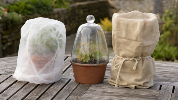 Comparatif des protections hivernales pour plantes fragiles : housses, voiles ou cloches ?