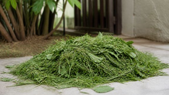 Recycler les tontes de gazon : astuces pratiques
