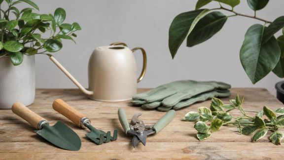 Le point sur les subventions à l'achat d'outils écologiques pour le jardinage en 2026