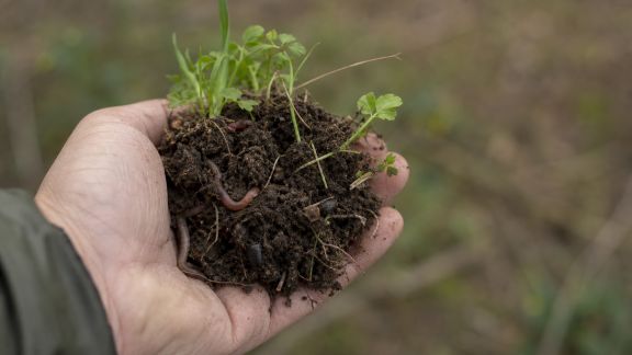 La biodiversité des sols en France : nouvelles données scientifiques dévoilées