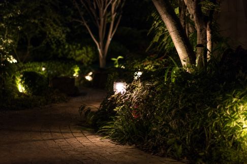 Jardins nocturnes : comment sublimer son espace grâce aux tendances d’éclairage