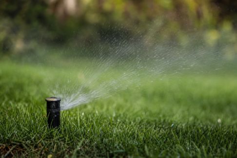 Gérer les arrosages pendant les vacances : conseils pour une pelouse en pleine forme