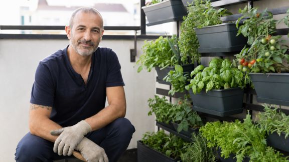 Interview d’un expert en potager vertical pour petits espaces