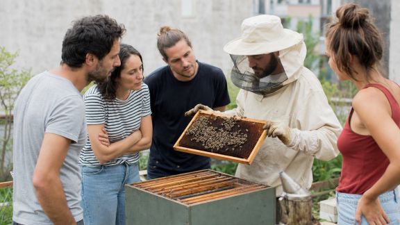 L’apiculture urbaine : organiser une initiation entre voisins