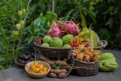 Jardin gourmand : les variétés exotiques qui séduisent les amateurs de saveurs