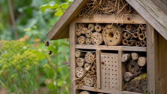 Avis sur les abris à insectes : quels modèles attirent vraiment la biodiversité ?