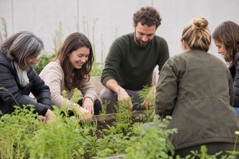 Ateliers jardin : la tendance des événements collaboratifs en plein air