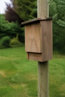 Mettre en place un hôtel à chauves-souris dans son jardin