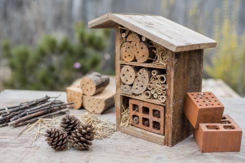 Fabriquer un abri pour insectes avec des matériaux de récupération