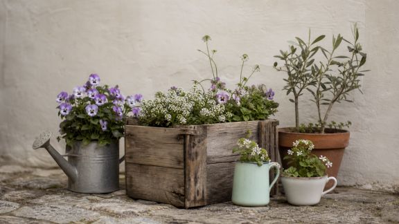 Upcycling au jardin : donner une seconde vie à vos objets pour un espace unique
