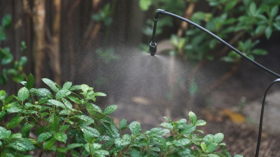 Installer un système de brumisation pour protéger ses plantes en été