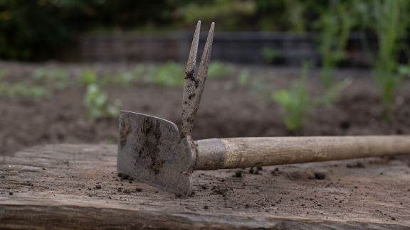 Test des serfouettes multifonctions : un outil tout-en-un pour le potager ?